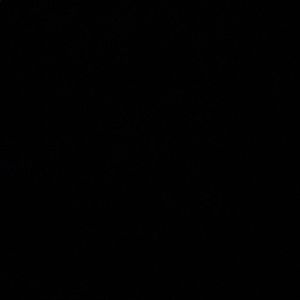 Meet your Posher, Logan